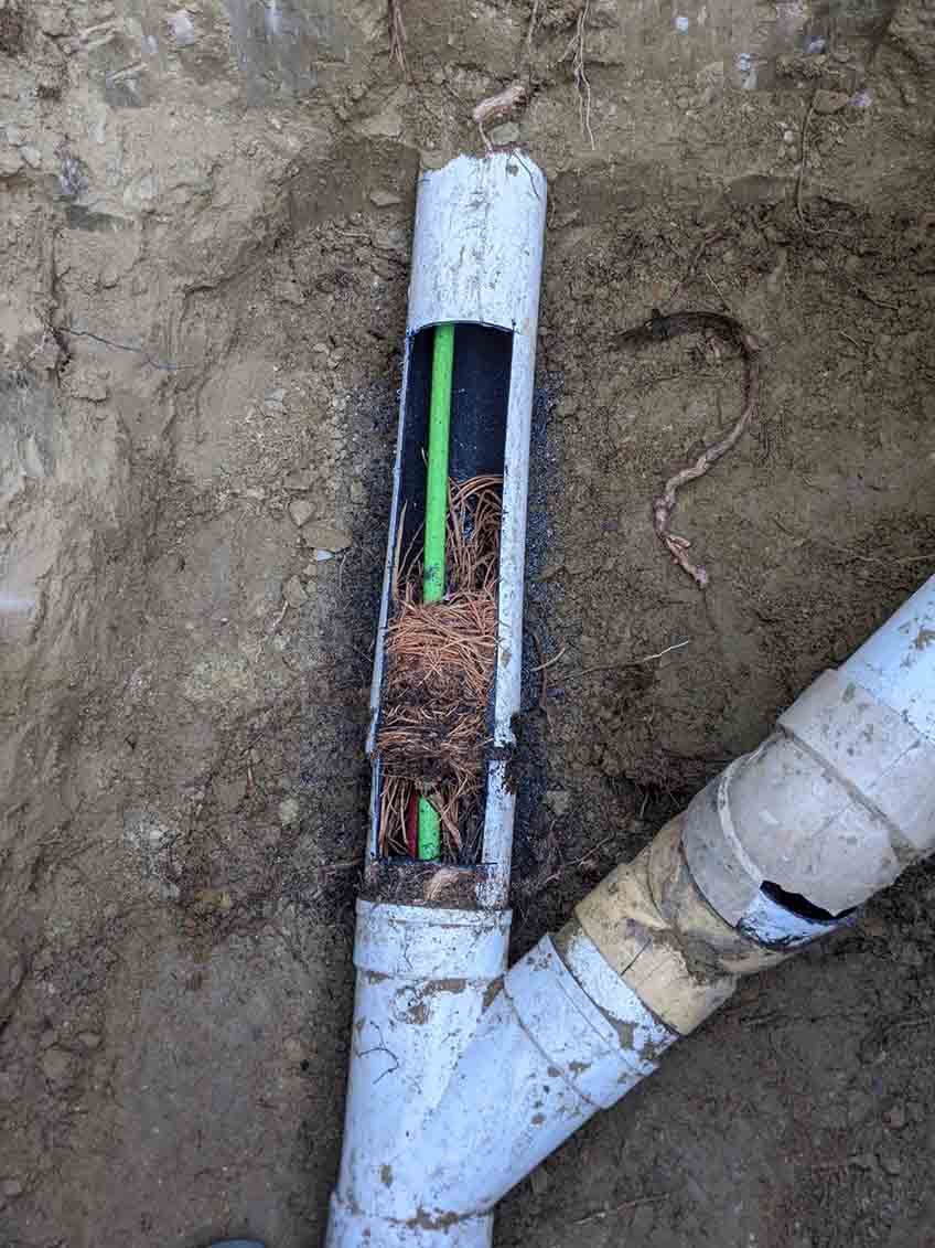 Sewer Line Tree Root Removal