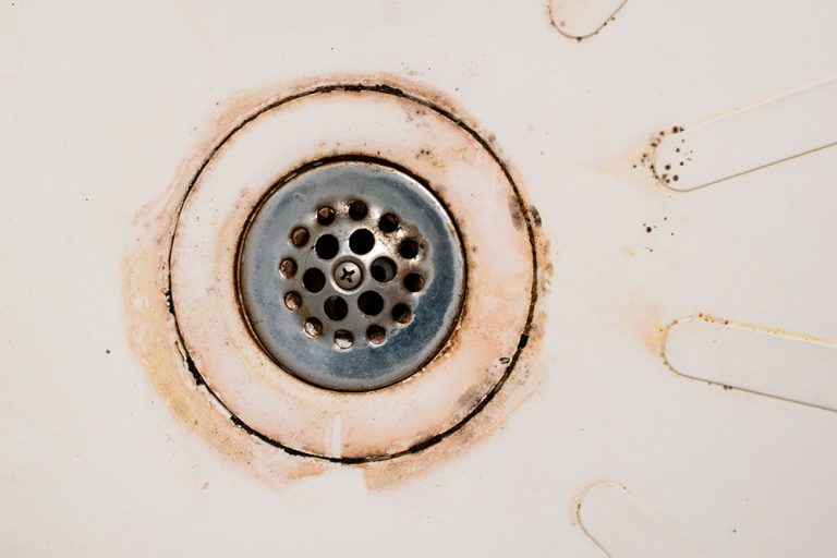 mold around drains cleaning Simi Valley, CA